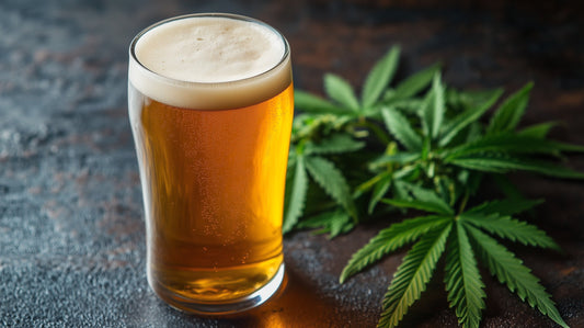 Americans Are Drinking Less Than Ever — Why Hemp Beverages Are Rising to the Occasion