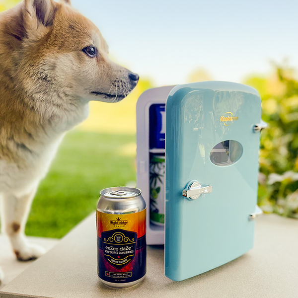Puppy by a can of eeZee daZe and a mini fridge of HighBridge products